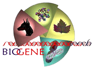 Biogene